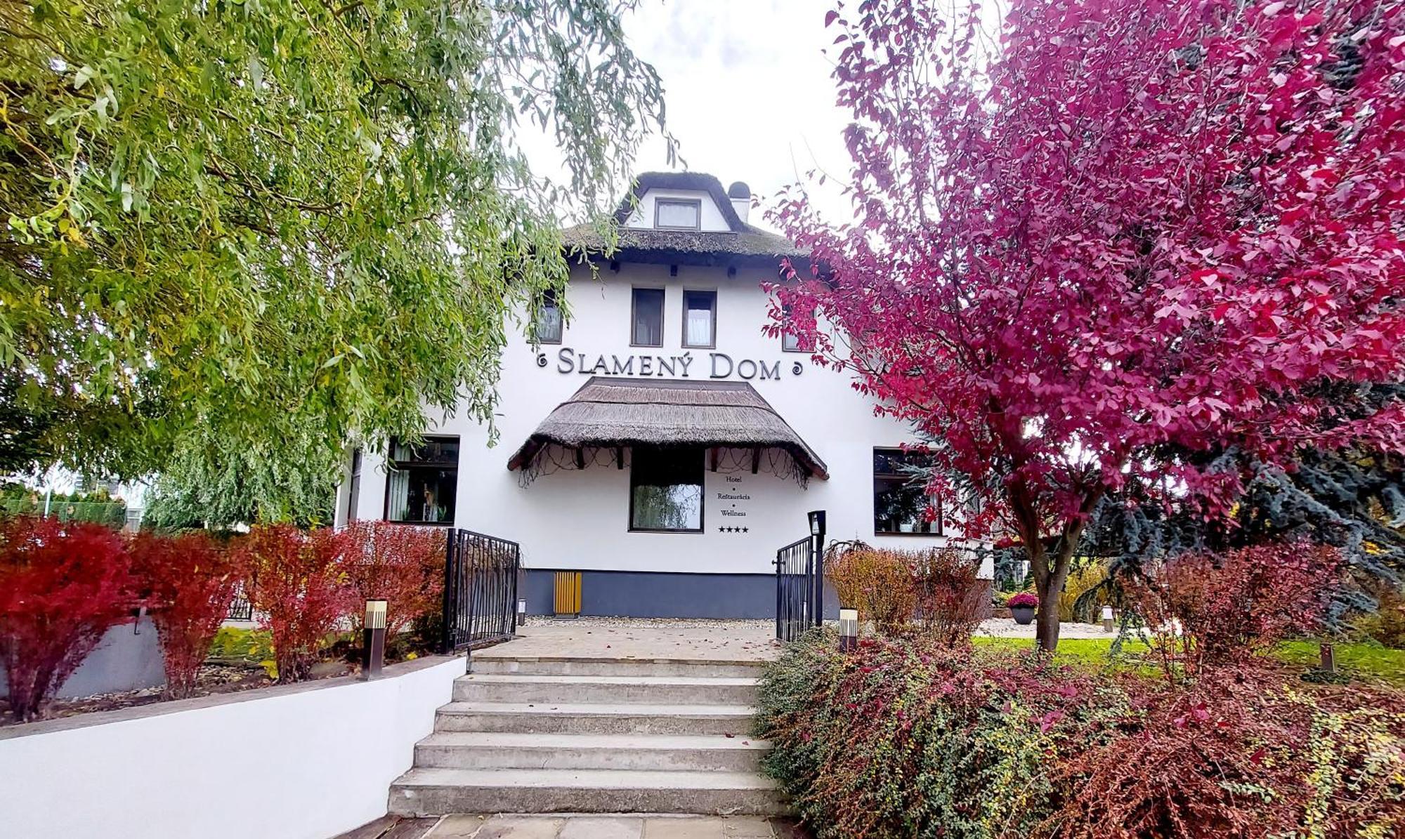 Hotel Slameny Dom & Spa Malá Ida Dış mekan fotoğraf